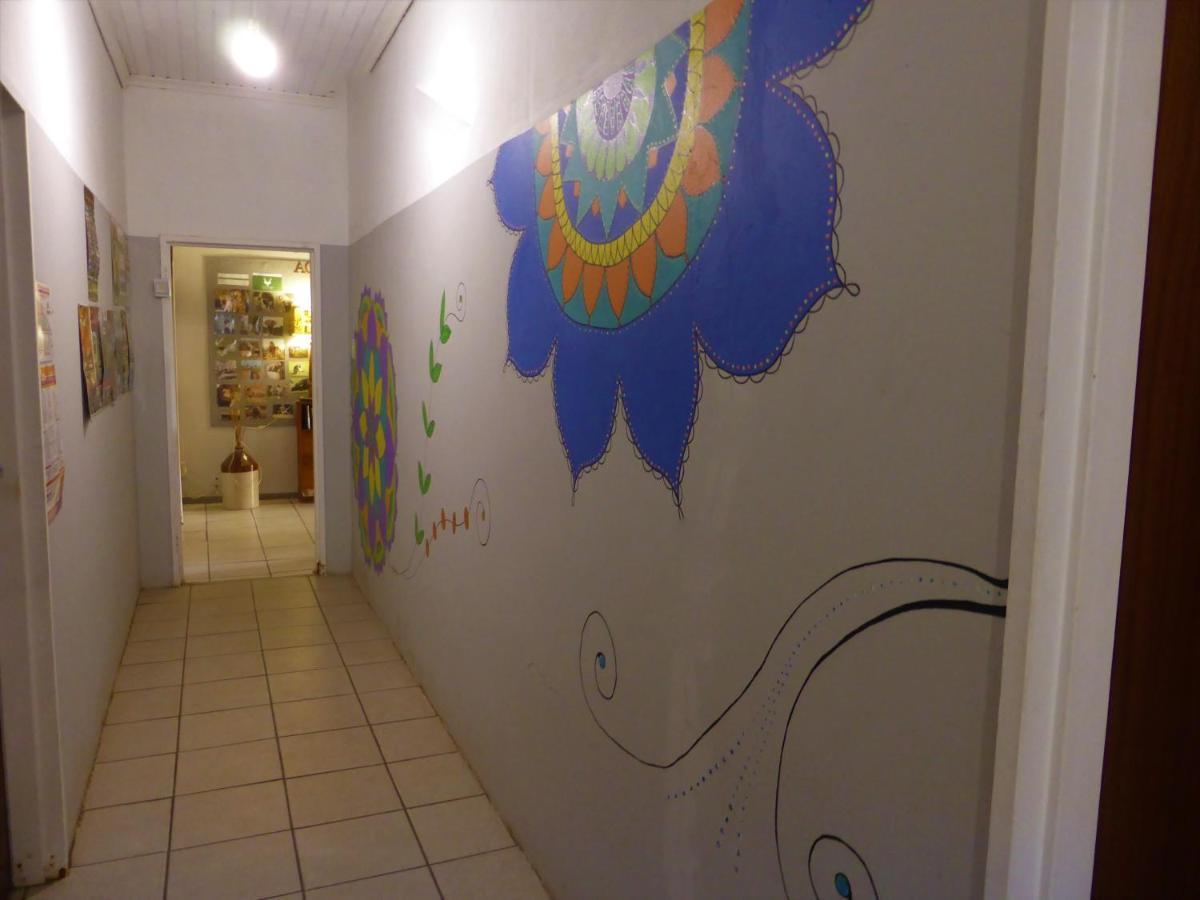 Orange Elephant Backpackers Hostel Addo Luaran gambar
